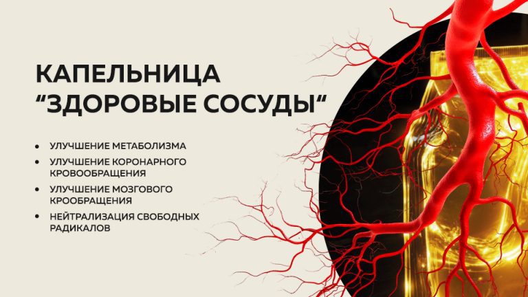 Здоровые сосуды